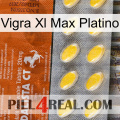 Vigra Xl Max Platinum 42